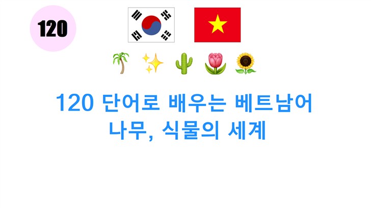 120 단어로 배우는 베트남어: 나무, 식물의 세계